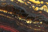 Tiger Iron Stromatolite Oval Cabochon #171322-1